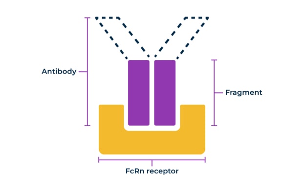 taking VYVGART Hytrulo image